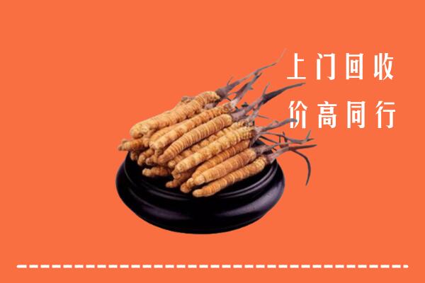 收购行情：承德冬虫夏草回收多少钱每克