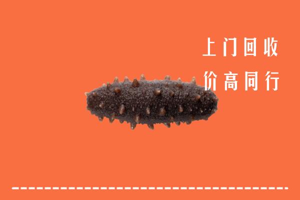 承德高价回收海参